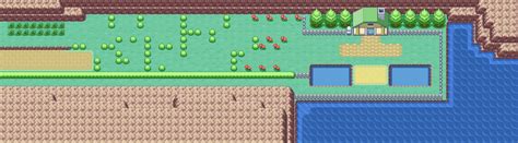 kanto route 25 trainer tips